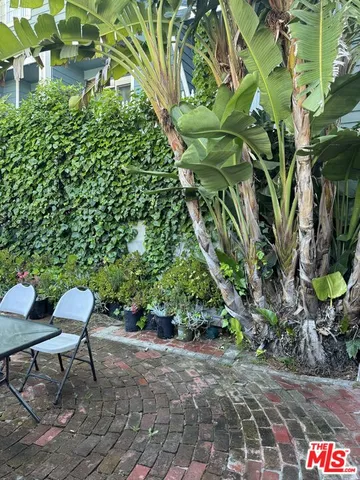 a garden with a bench and some plants