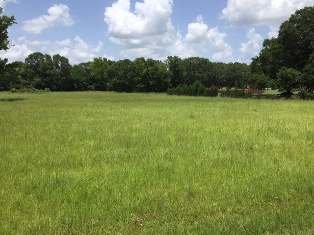 3220 Volley Campbell Road Terry, MS 39170 - Photo 1 of 9 Photo 1
