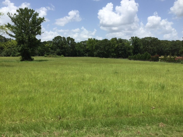 3220 Volley Campbell Road Terry, MS 39170 - Photo 2 of 9 Photo 2