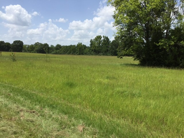 3220 Volley Campbell Road Terry, MS 39170 - Photo 5 of 9 Photo 5