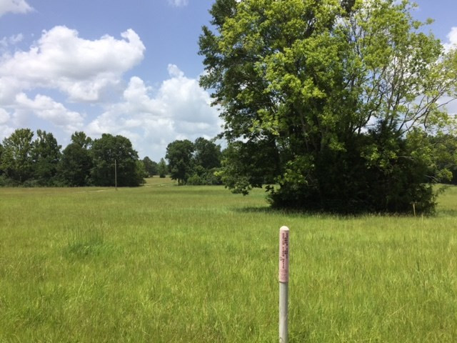 3220 Volley Campbell Road Terry, MS 39170 - Photo 6 of 9 Photo 6