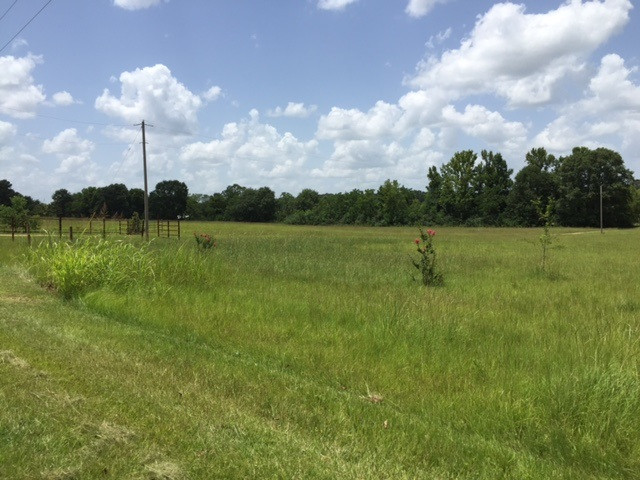3220 Volley Campbell Road Terry, MS 39170 - Photo 7 of 9 Photo 7