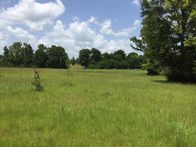 3220 Volley Campbell Road Terry, MS 39170 - Photo 8 of 9 Photo 8