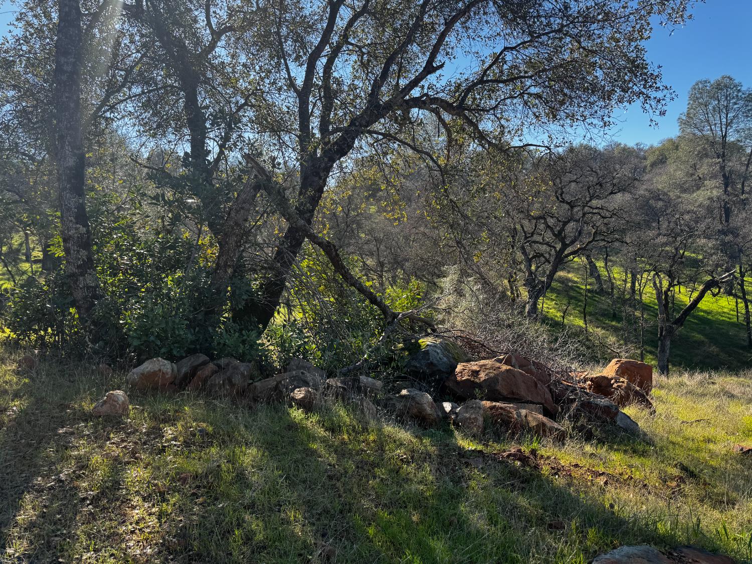 15806 Perimeter Road Grass Valley, CA 95949 - Photo 26 of 48 Natural Rock and Oak Views