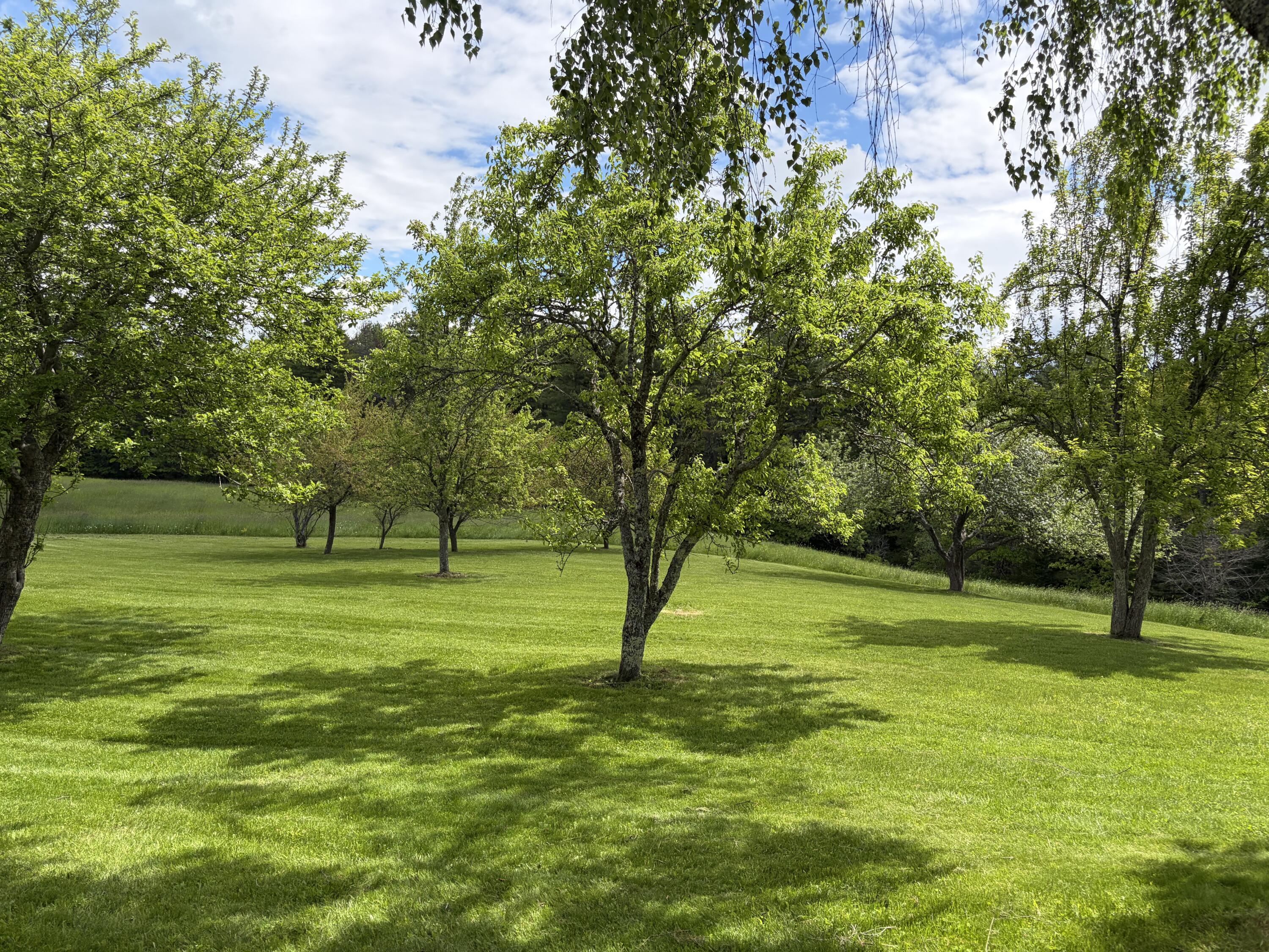 275 Harriman Road Waldoboro, ME 04572 - Photo 17 of 33 Apple Trees, Lilac, Lupine and much more