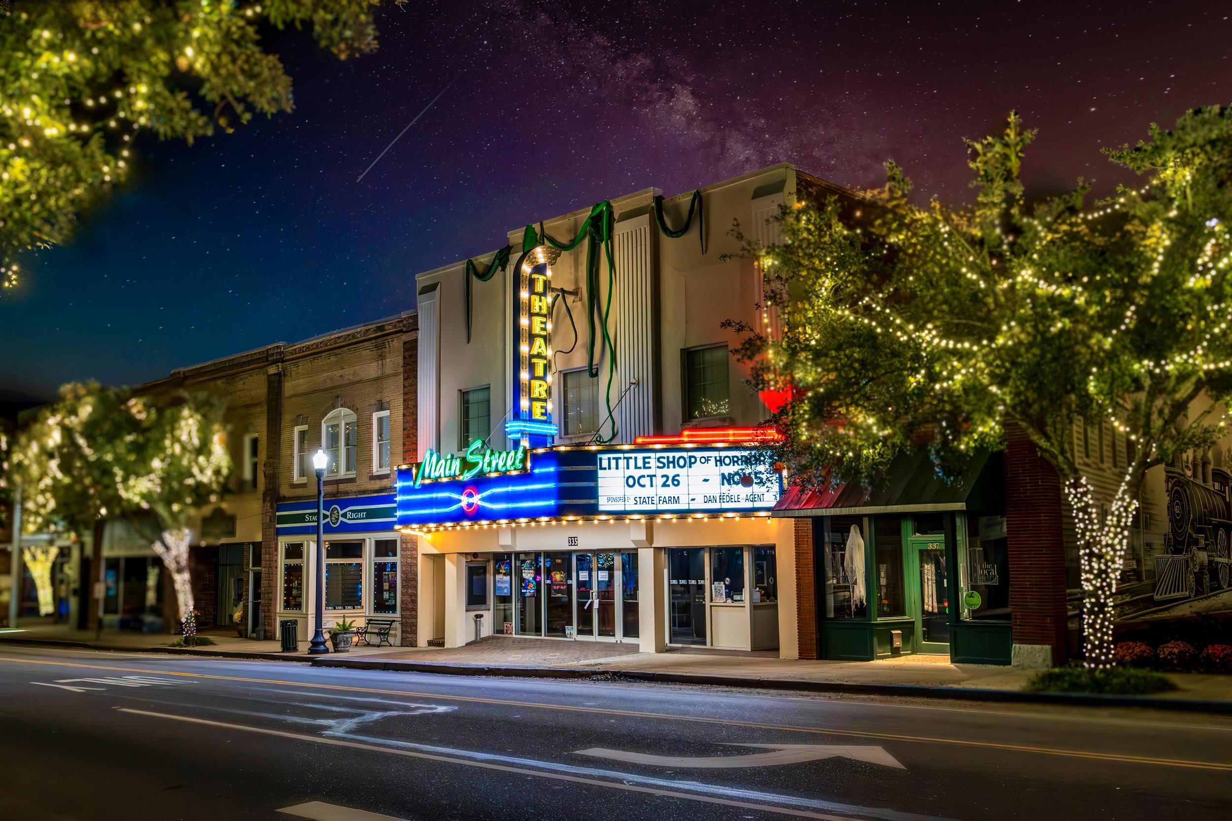 1011 Rudder Court Conway, SC 29526 - Photo 59 of 60