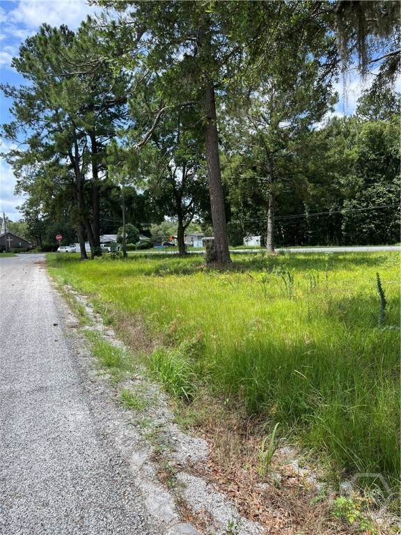 0 Pound Road Guyton, GA 31312 - Photo 2 of 2