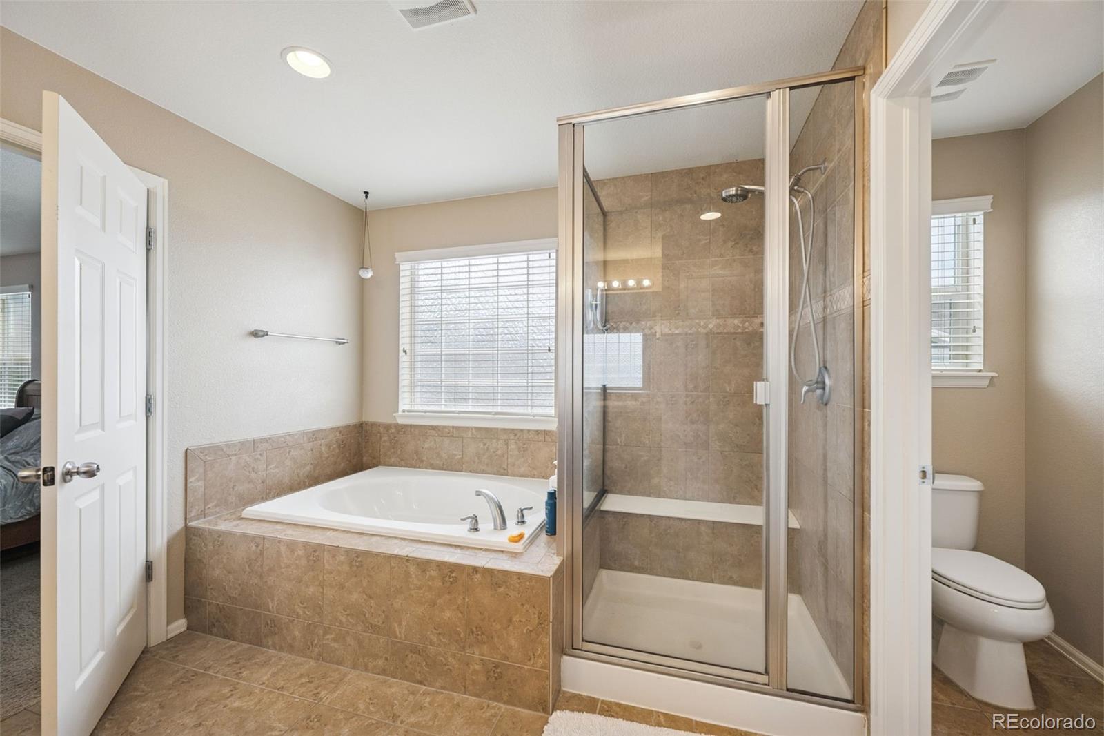 20366 Spruce Point Place Parker, CO 80134 - Photo 17 of 38