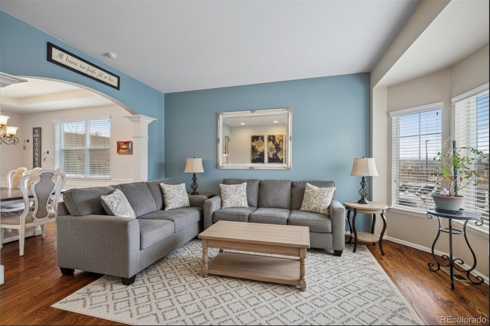 20366 Spruce Point Place Parker, CO 80134 - Photo 2 of 38