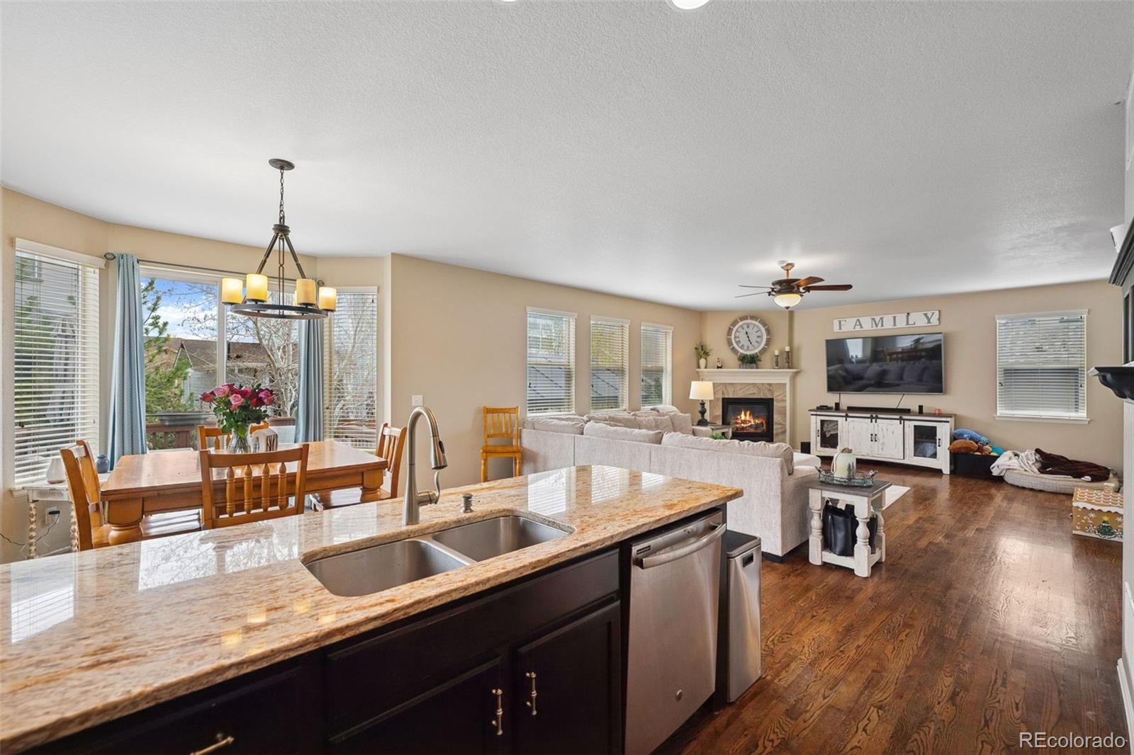 20366 Spruce Point Place Parker, CO 80134 - Photo 9 of 38