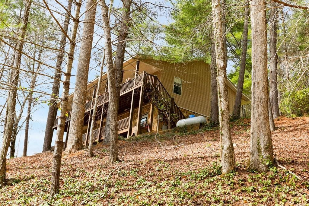 4115 Twiggs Road Blairsville, GA 30512 - Photo 3 of 40 Gallery Image 3