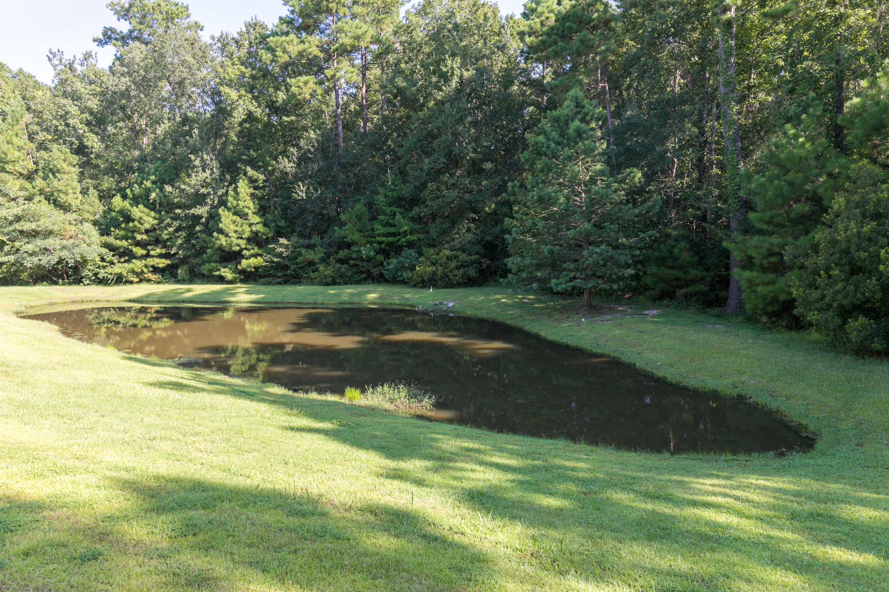 355 Flyway Road Goose Creek, SC 29445 - Photo 11 of 16 23--MLS