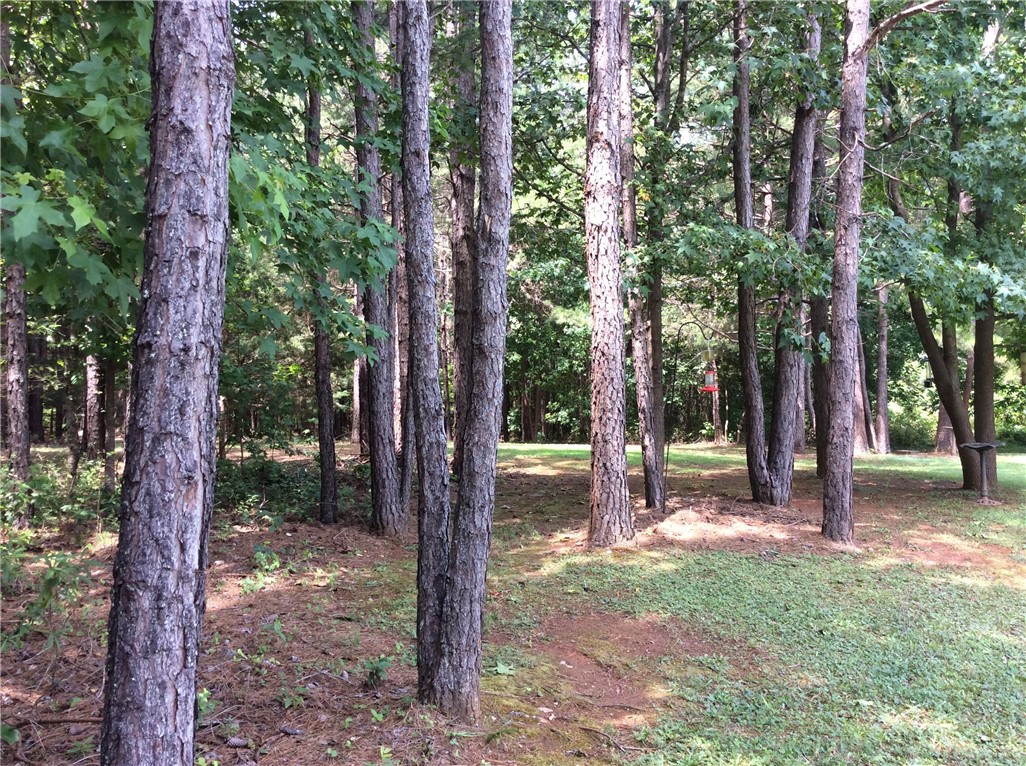 263 Murphy Road Belton, SC 29627 - Photo 34 of 49