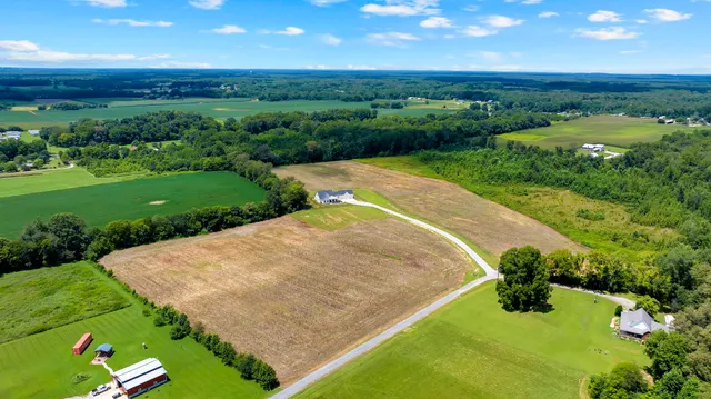 a view of a street with a yard