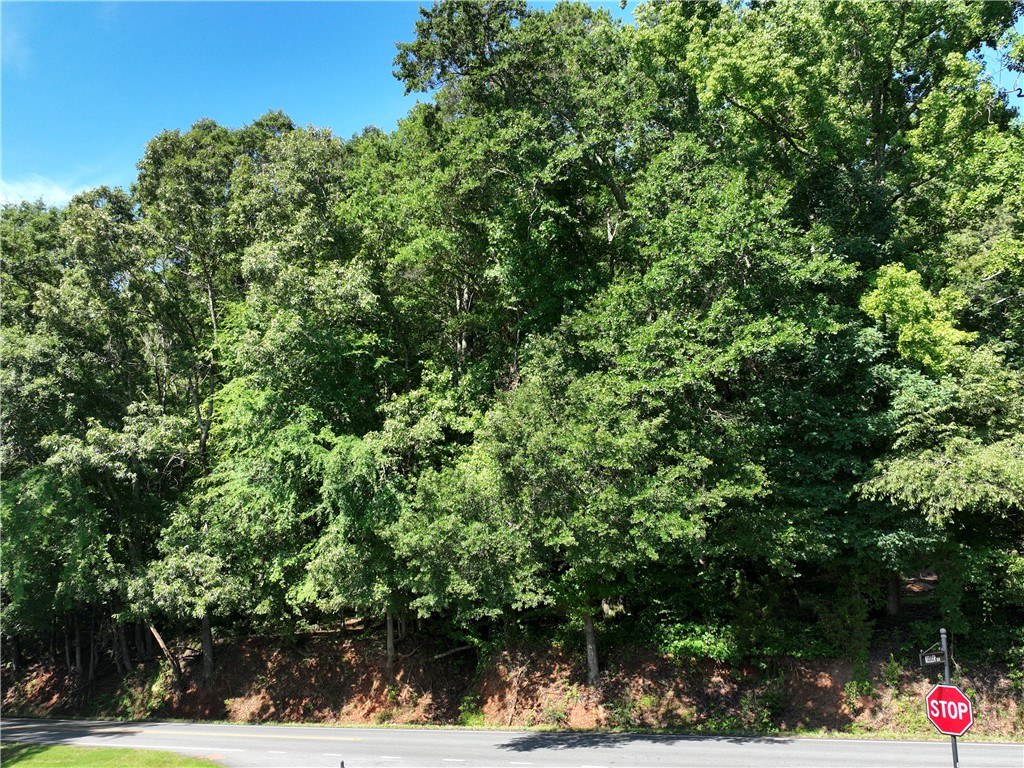 553 Issaqueena Trail Clemson, SC 29631 - Photo 6 of 6