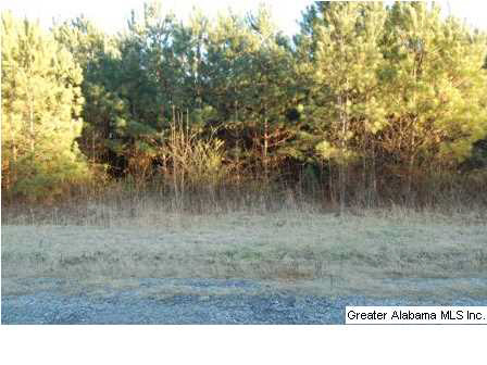 66 County Road, Unit 50 Woodland, AL 36280 - Photo 10 of 12
