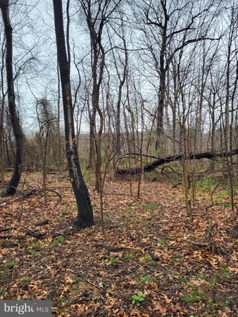 a view of a yard with cars parked