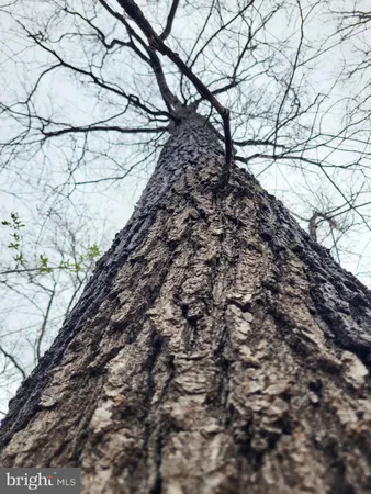a view of brick wall