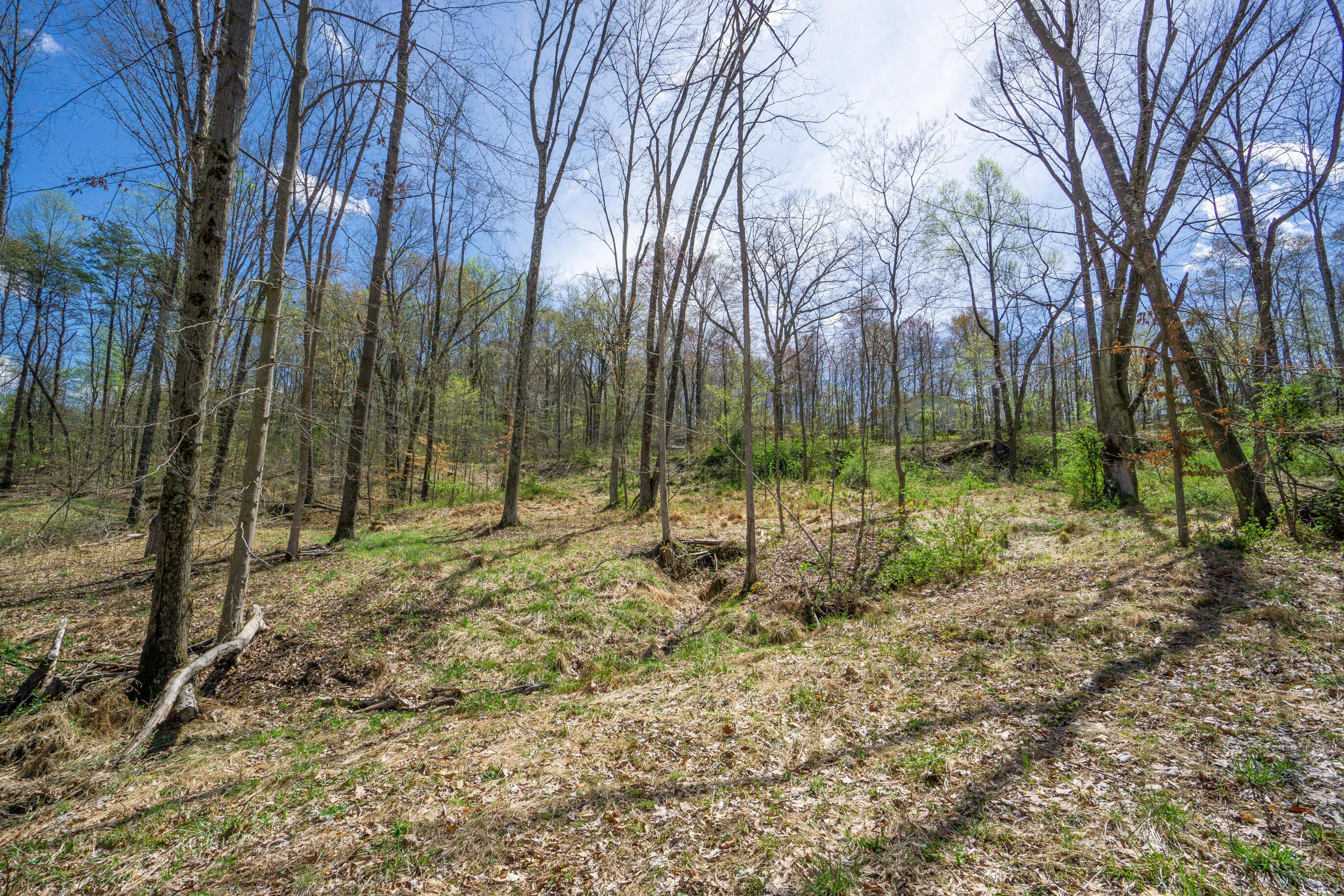 0 West Hunters Ridge Drive Logan, OH 43138 - Photo 1 of 24