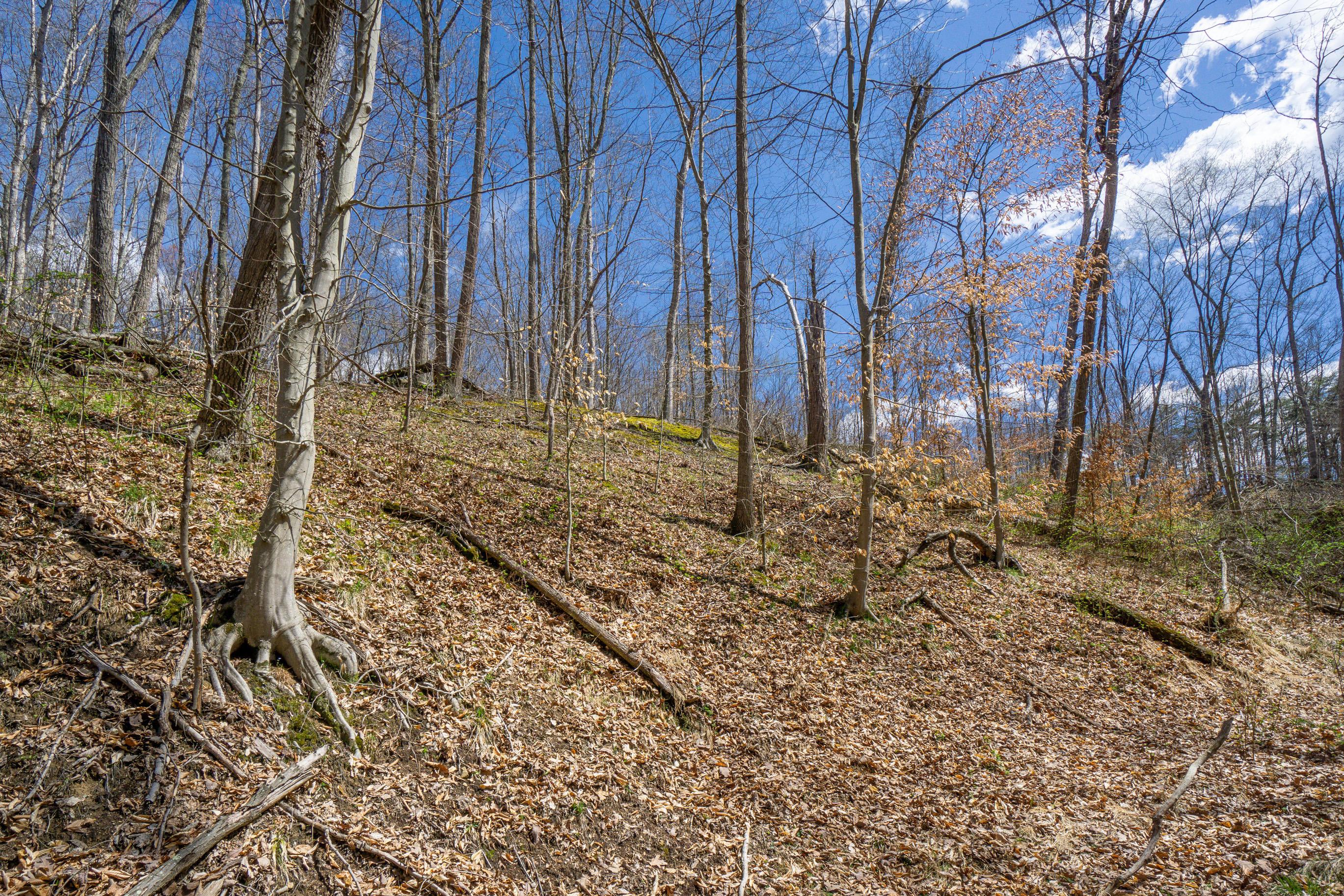 0 West Hunters Ridge Drive Logan, OH 43138 - Photo 12 of 24