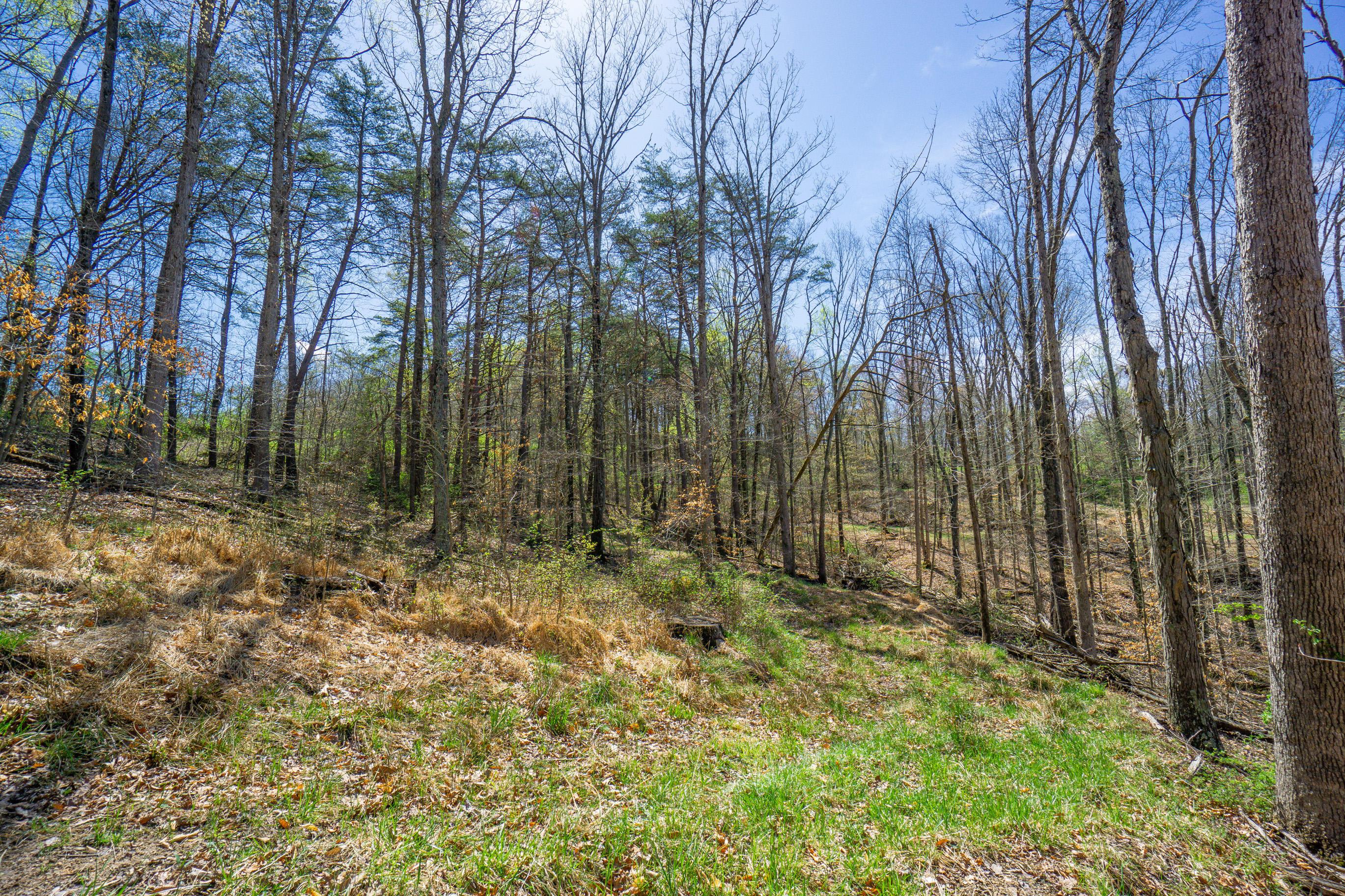 0 West Hunters Ridge Drive Logan, OH 43138 - Photo 13 of 24
