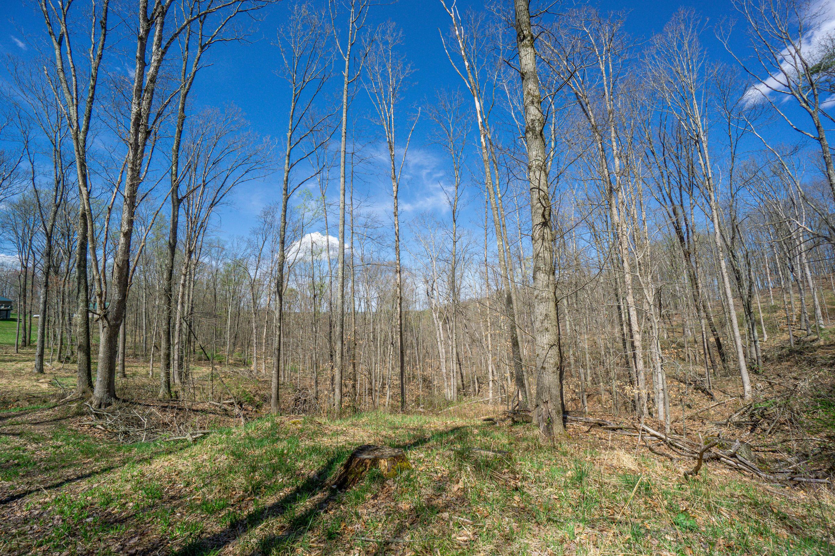 0 West Hunters Ridge Drive Logan, OH 43138 - Photo 14 of 24