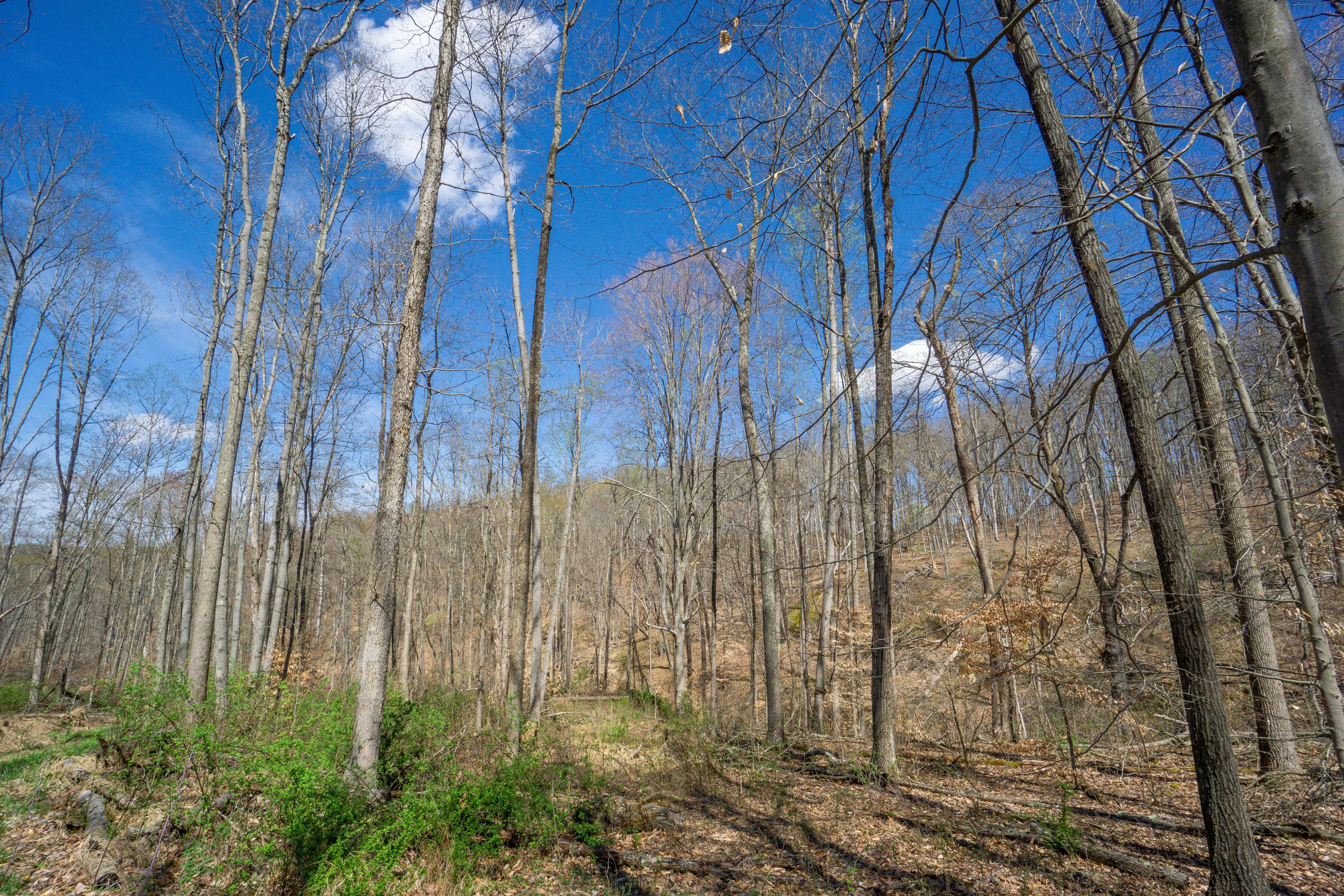 0 West Hunters Ridge Drive Logan, OH 43138 - Photo 16 of 24