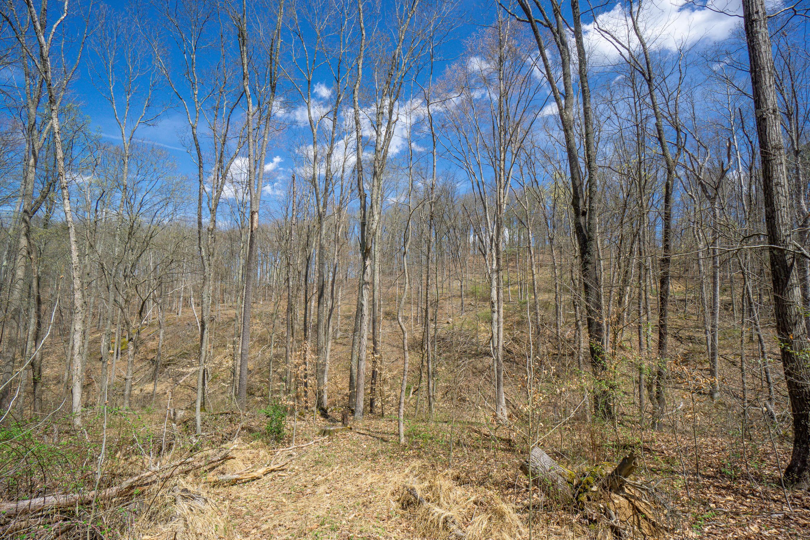 0 West Hunters Ridge Drive Logan, OH 43138 - Photo 18 of 24