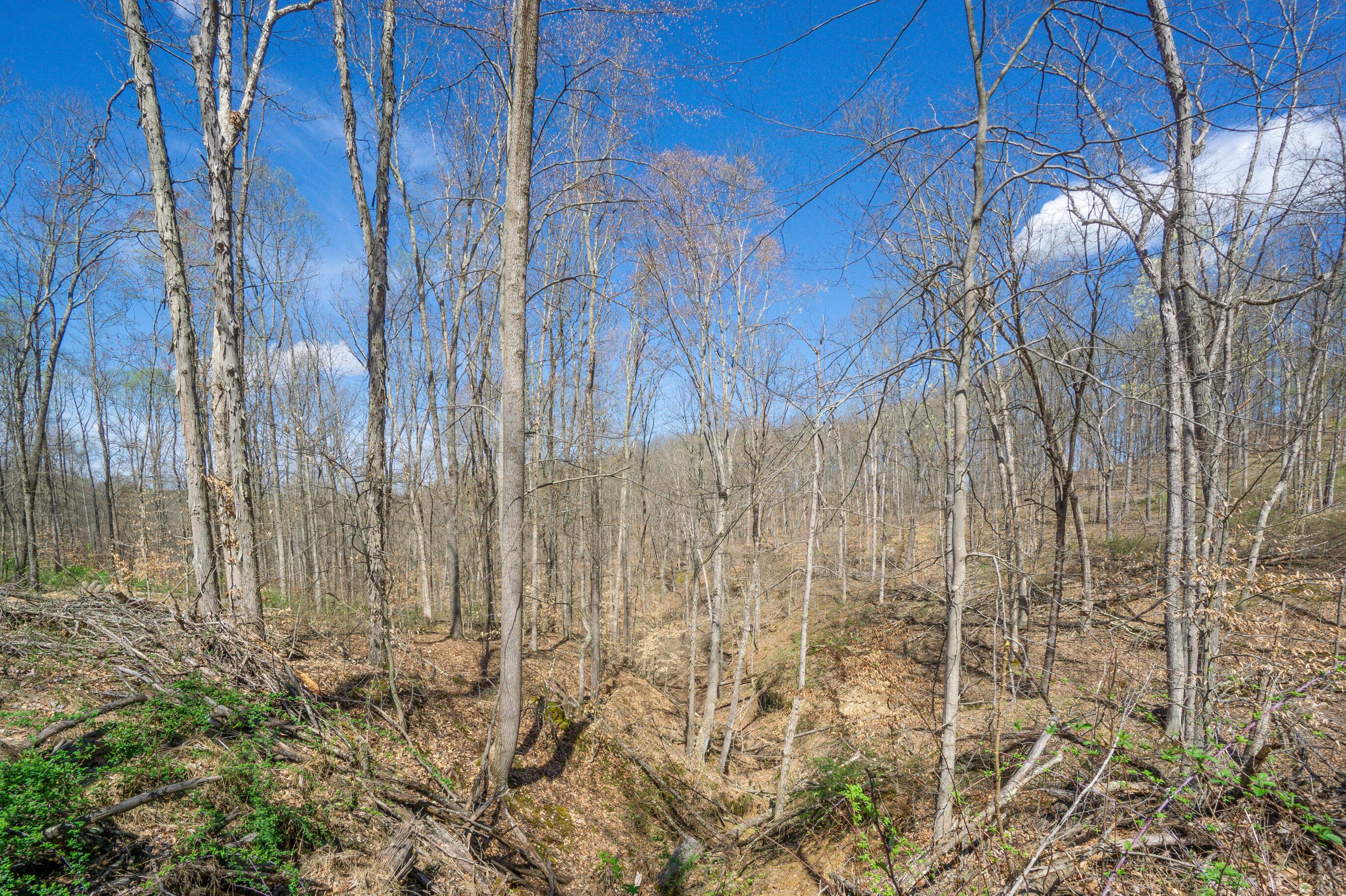0 West Hunters Ridge Drive Logan, OH 43138 - Photo 20 of 24