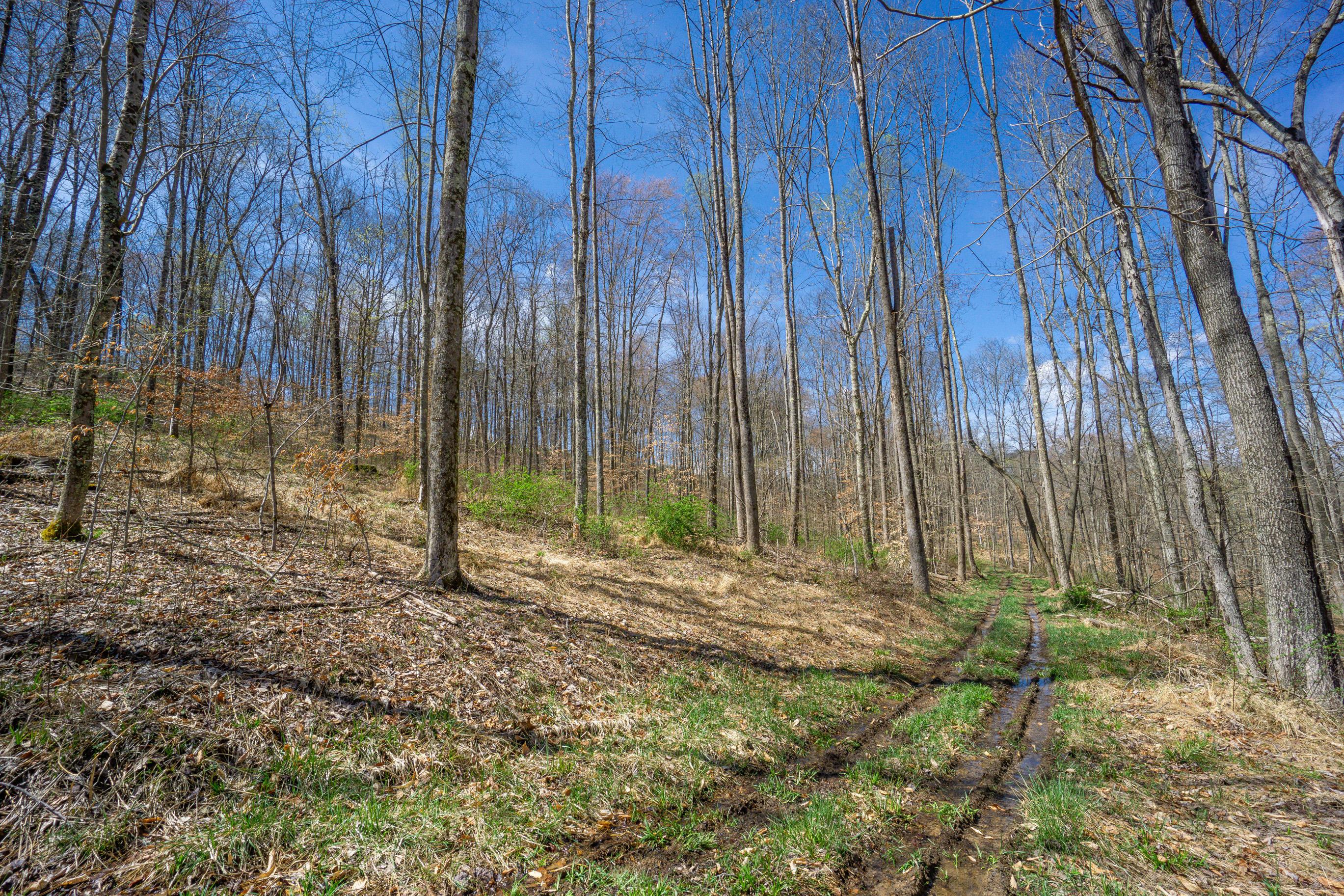 0 West Hunters Ridge Drive Logan, OH 43138 - Photo 22 of 24