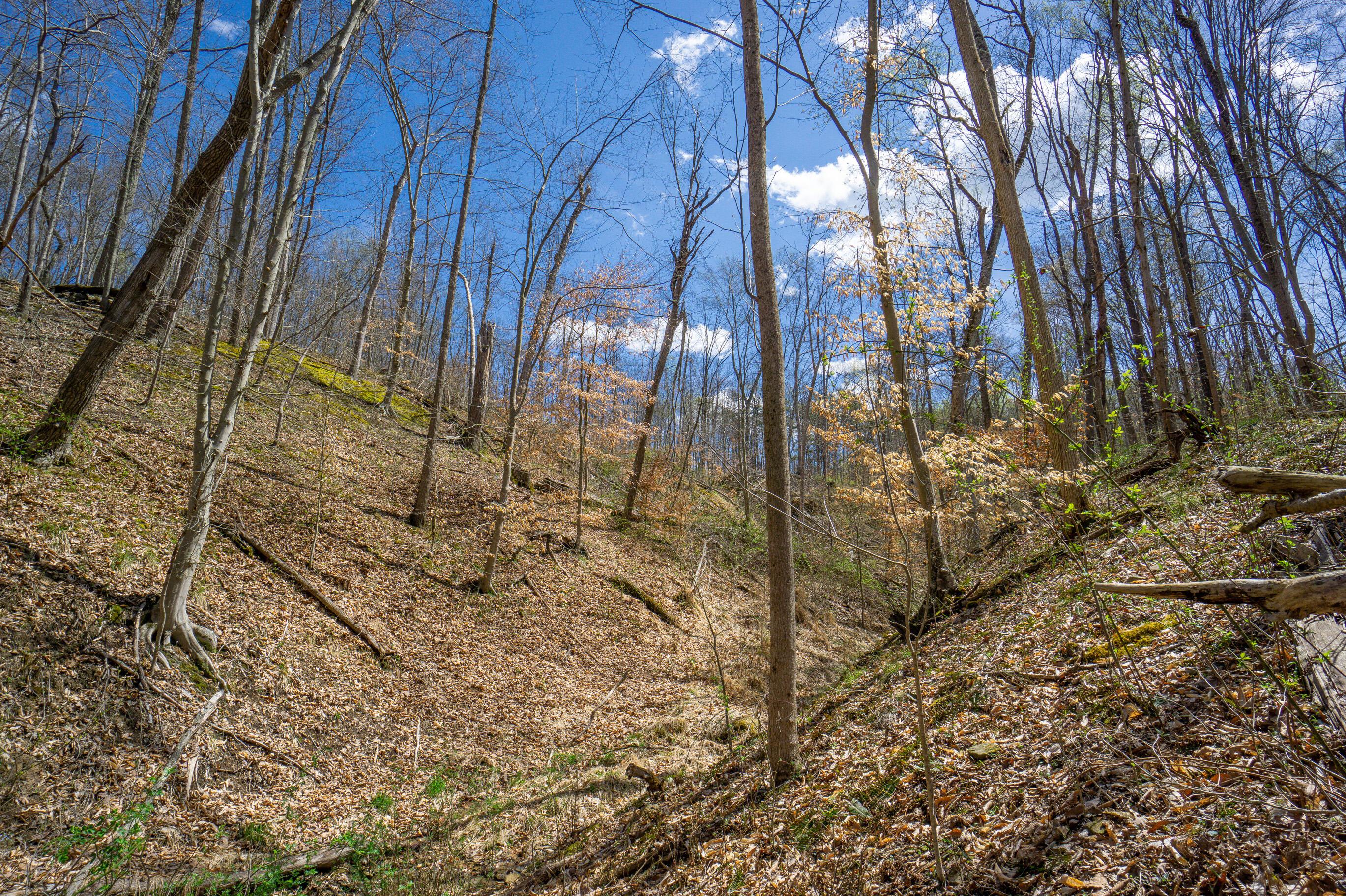 0 West Hunters Ridge Drive Logan, OH 43138 - Photo 4 of 24