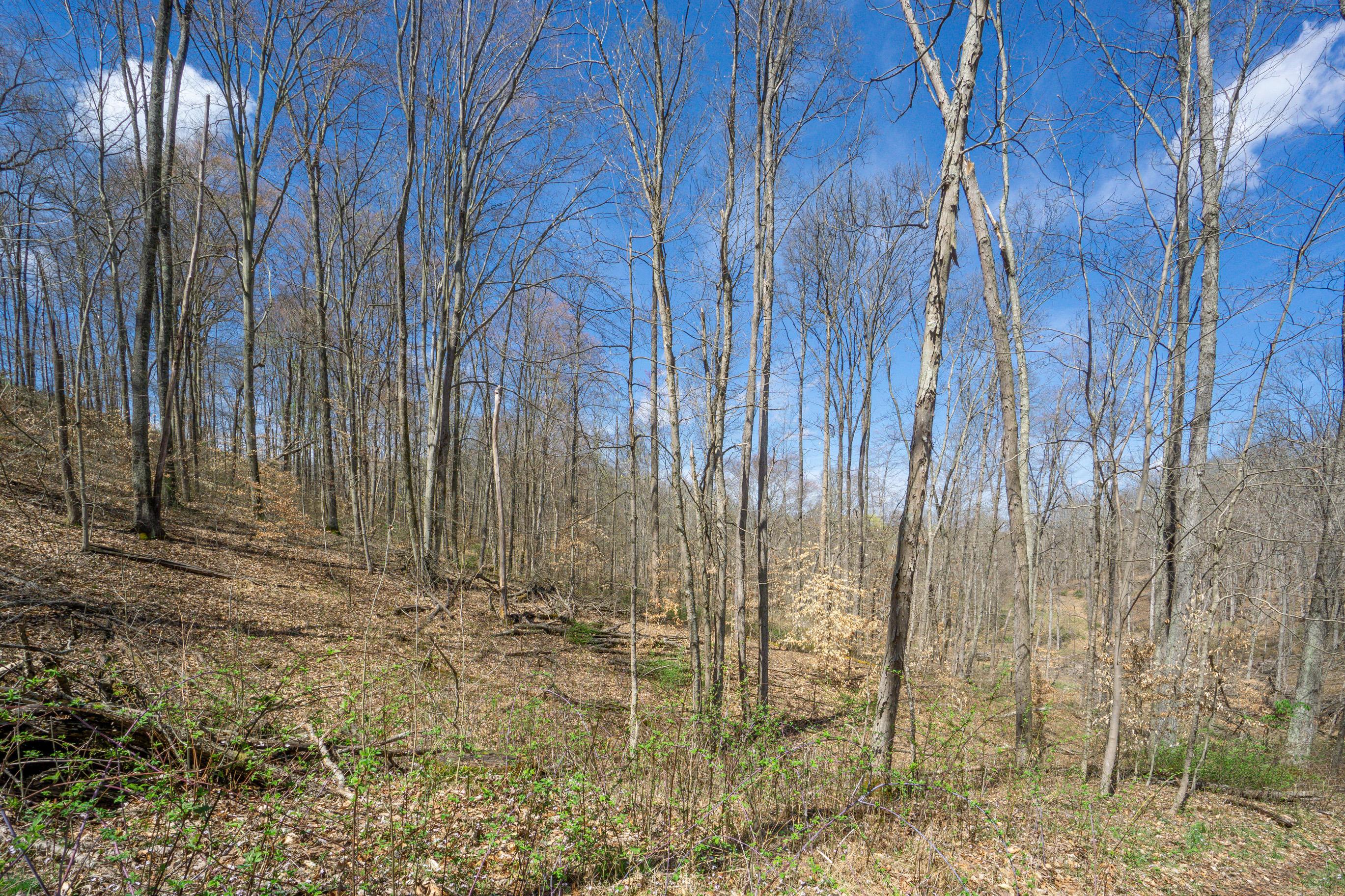 0 West Hunters Ridge Drive Logan, OH 43138 - Photo 5 of 24