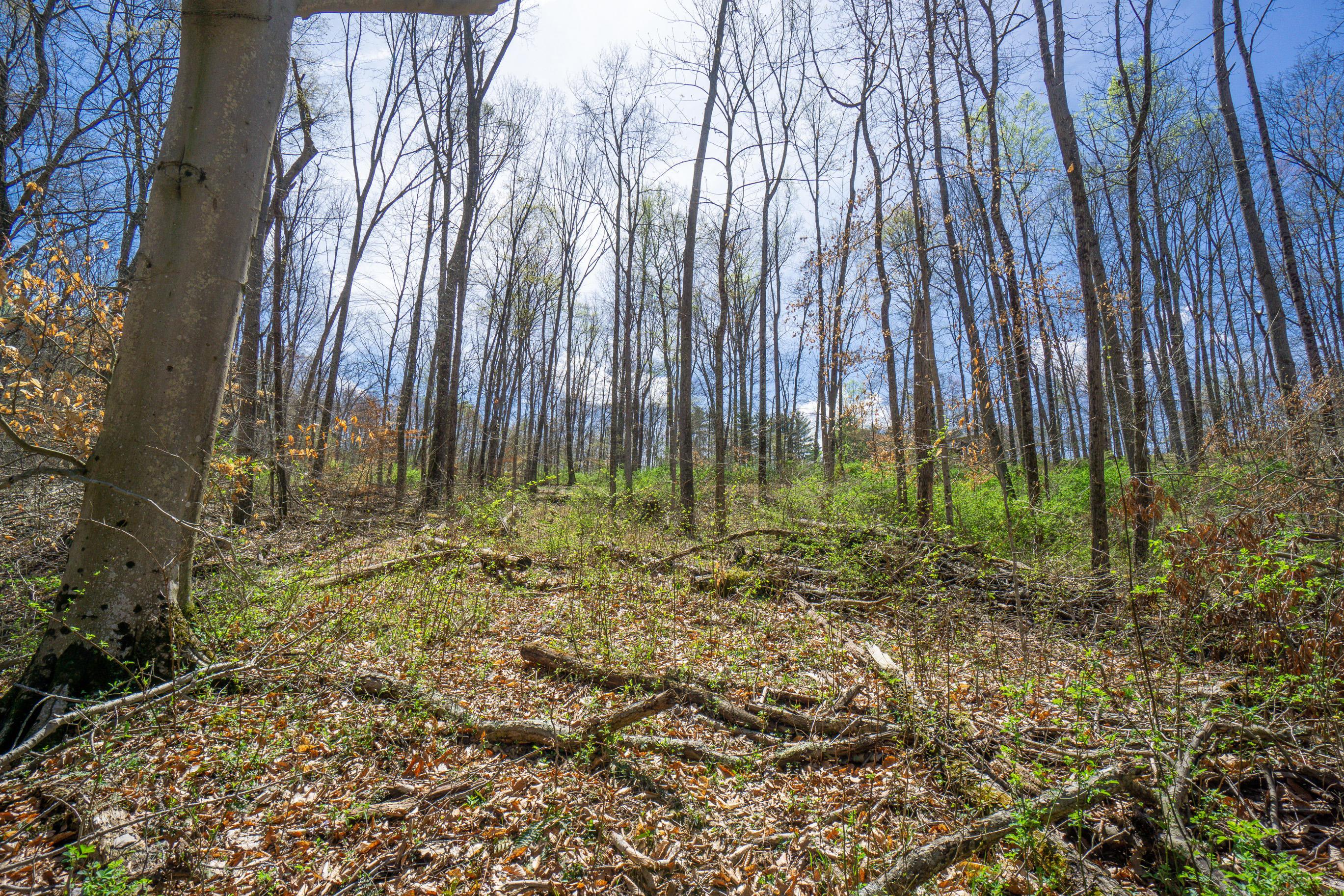 0 West Hunters Ridge Drive Logan, OH 43138 - Photo 6 of 24