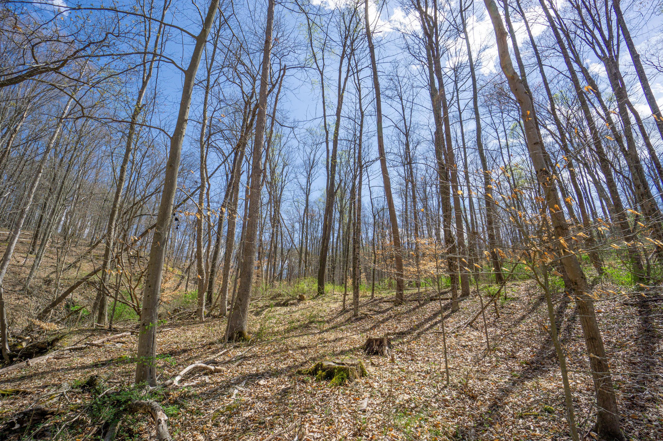 0 West Hunters Ridge Drive Logan, OH 43138 - Photo 7 of 24