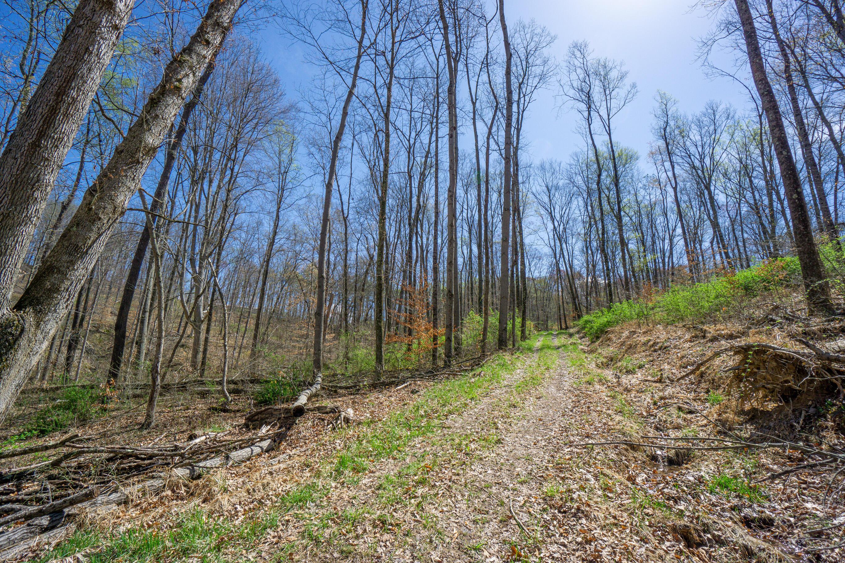 0 West Hunters Ridge Drive Logan, OH 43138 - Photo 8 of 24