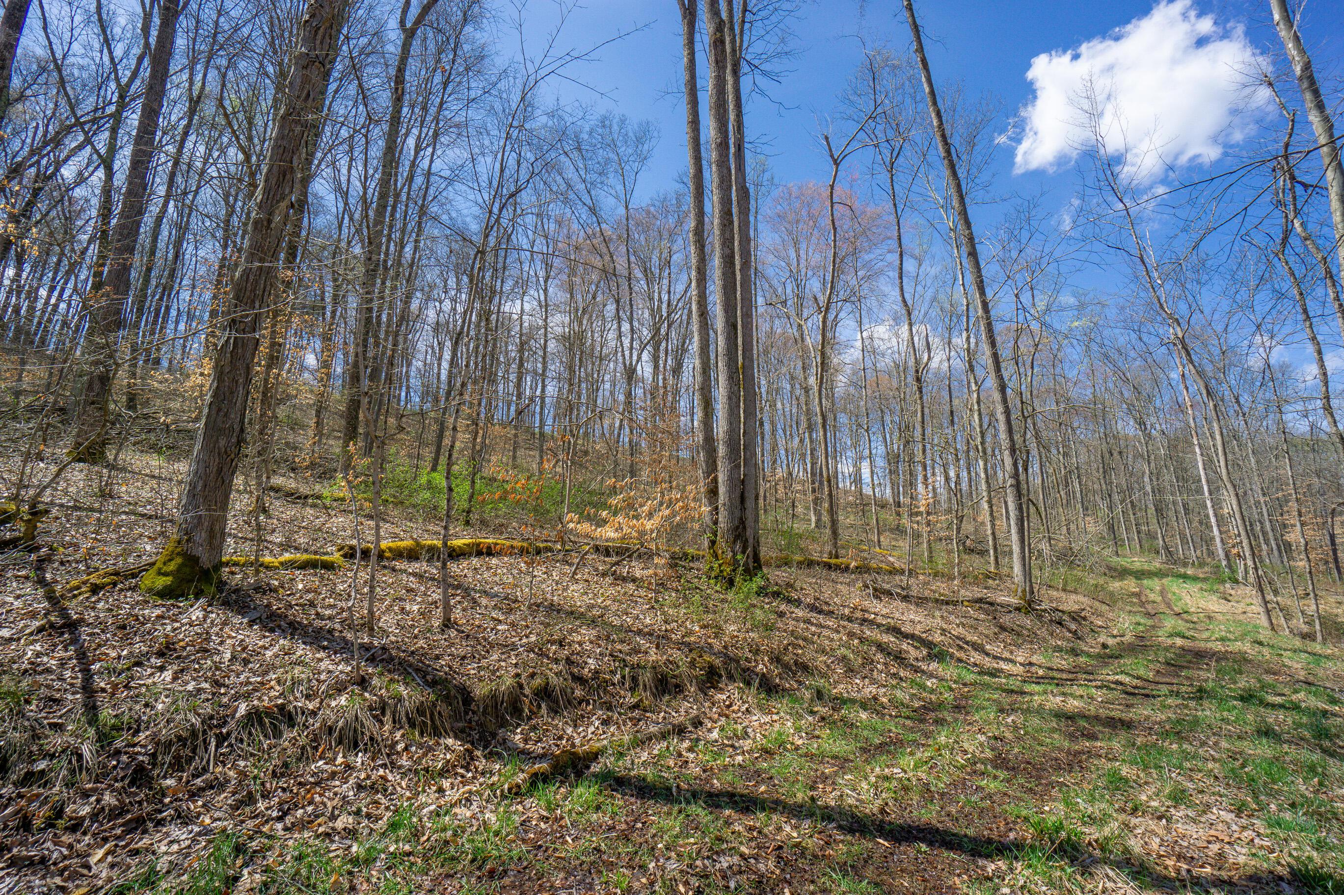 0 West Hunters Ridge Drive Logan, OH 43138 - Photo 9 of 24