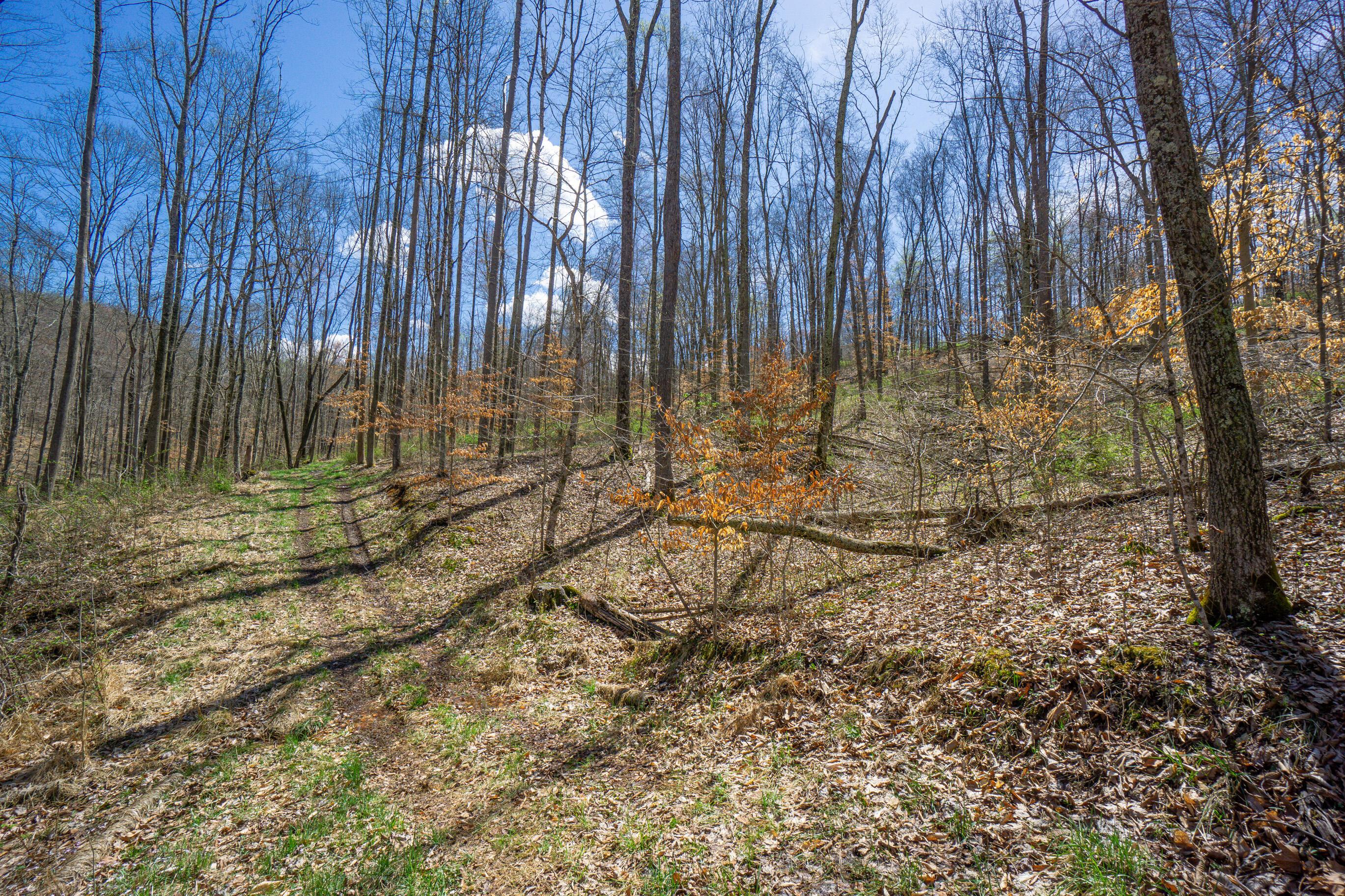 0 West Hunters Ridge Drive Logan, OH 43138 - Photo 10 of 24