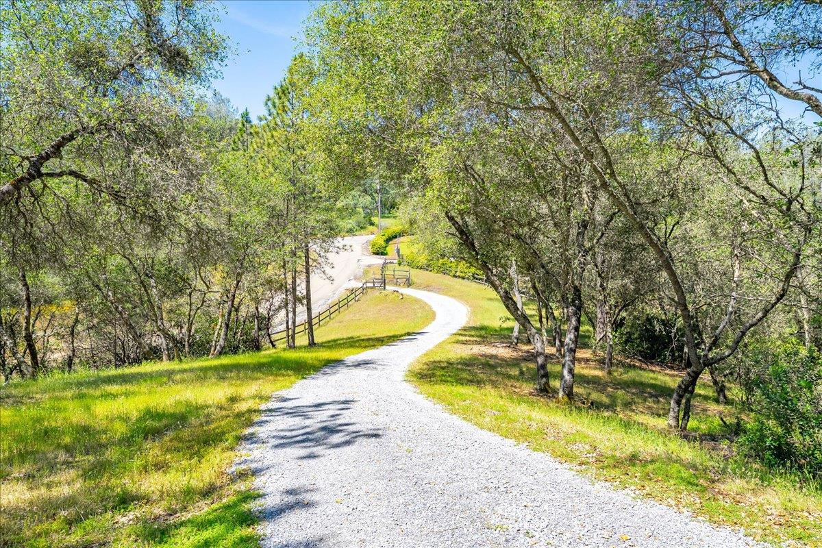 4521 Cross Creek Road Cool, CA 95614 - Photo 3 of 72