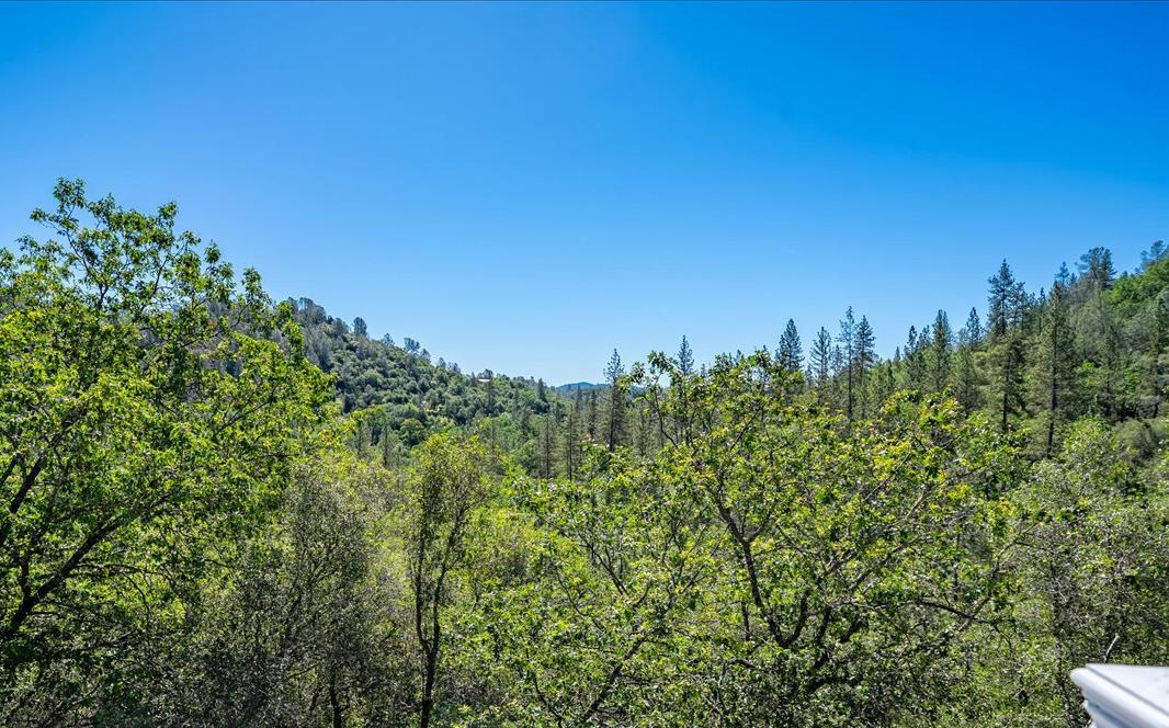 4521 Cross Creek Road Cool, CA 95614 - Photo 53 of 72