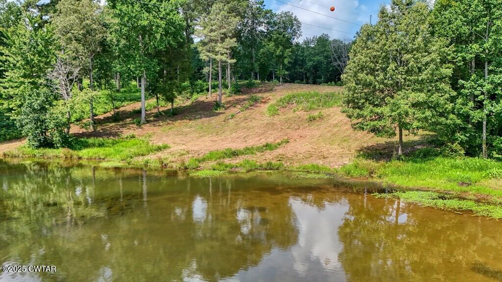 Lot 20 Shoreview Lane Huntingdon, TN 38344 - Photo 13 of 17 1000023058_12