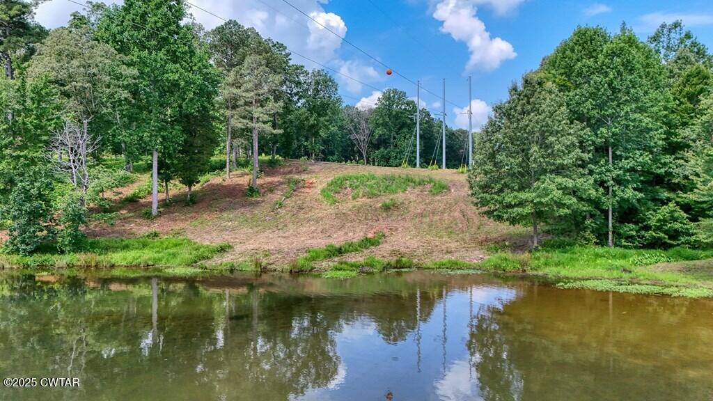 Lot 20 Shoreview Lane Huntingdon, TN 38344 - Photo 15 of 17 1000023058_14