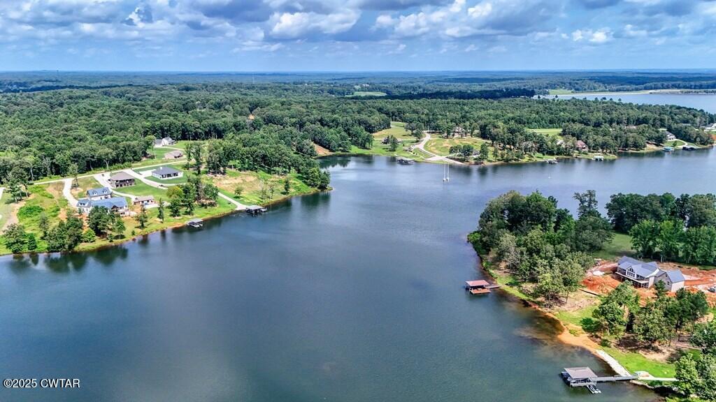 Lot 20 Shoreview Lane Huntingdon, TN 38344 - Photo 16 of 17 1000023058_15