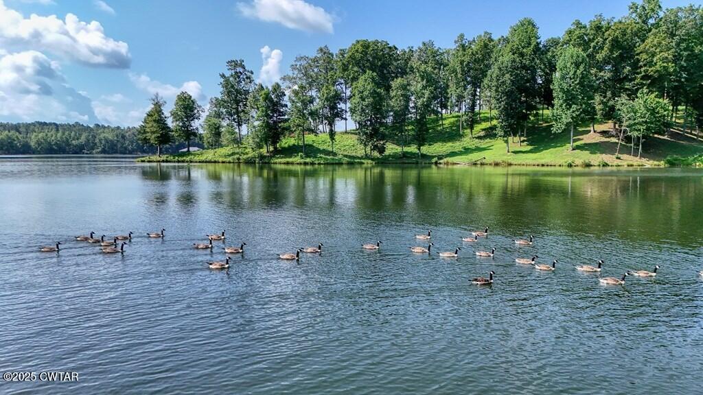 Lot 20 Shoreview Lane Huntingdon, TN 38344 - Photo 3 of 17 1000023058_2