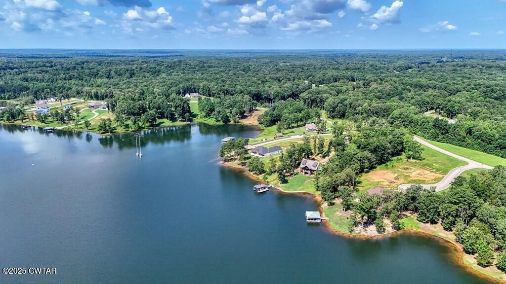 Lot 20 Shoreview Lane Huntingdon, TN 38344 - Photo 9 of 17 1000023058_8