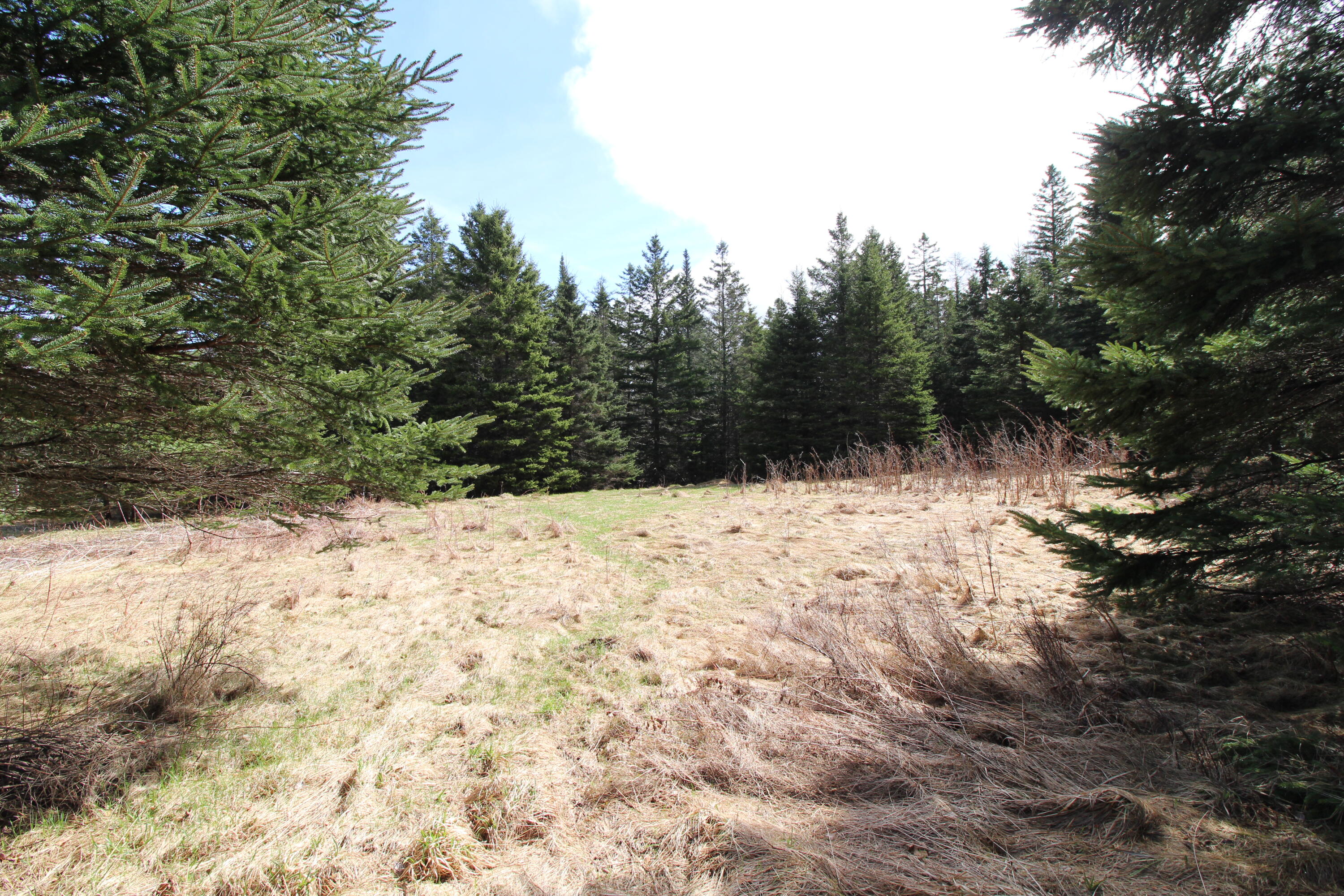259 Loon Lake Road Rangeley, ME 04970 - Photo 24 of 24 IMG_5655