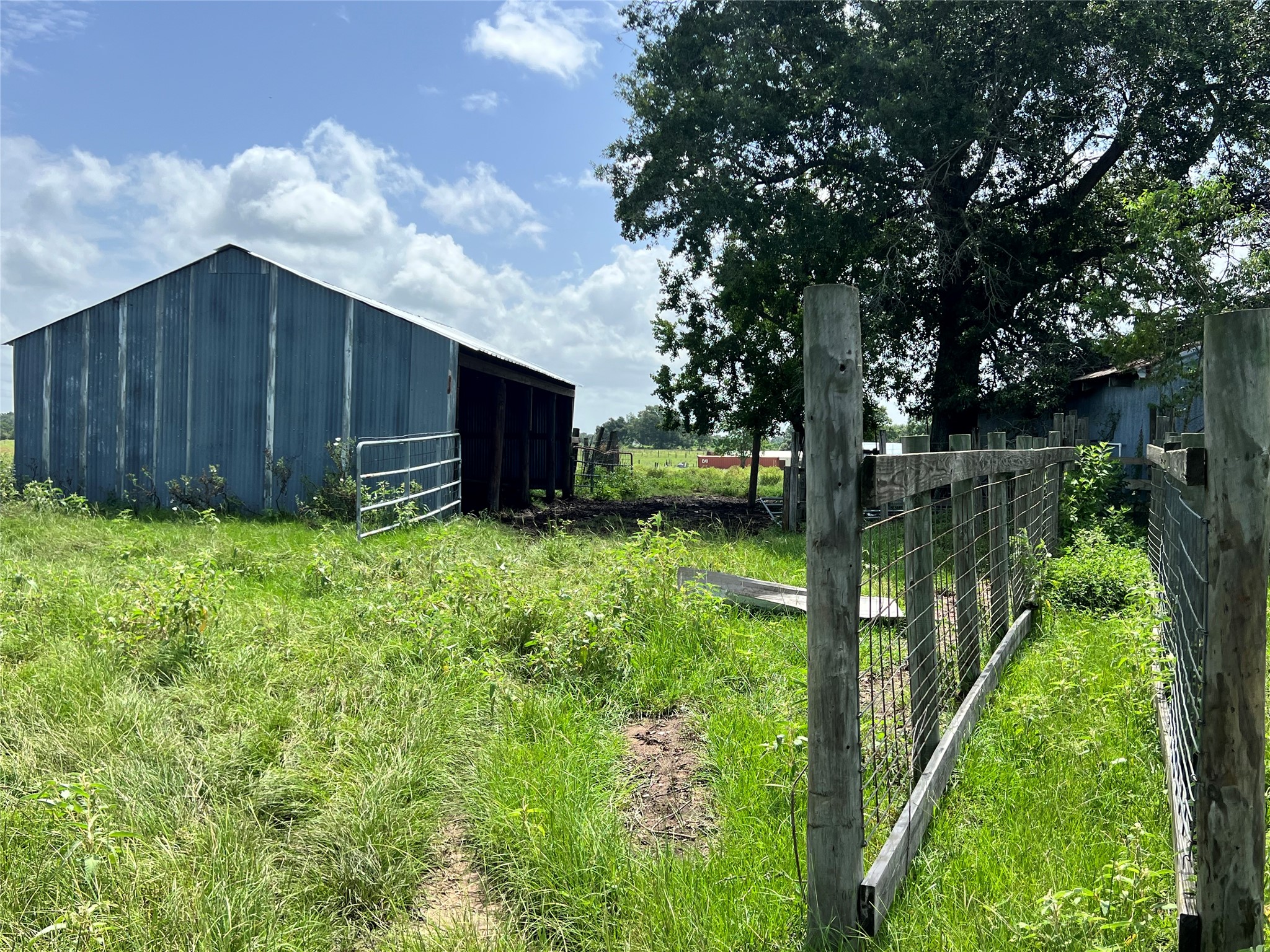 20573 Fontenot Lane Hempstead, TX 77445 - Photo 19 of 32 This property features a rustic barn set amidst lush greenery, with a fenced area ideal for animals or gardening. A large tree provides shade, creating a tranquil rural setting.