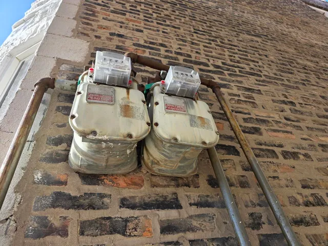 a view of a garden with a building in the background