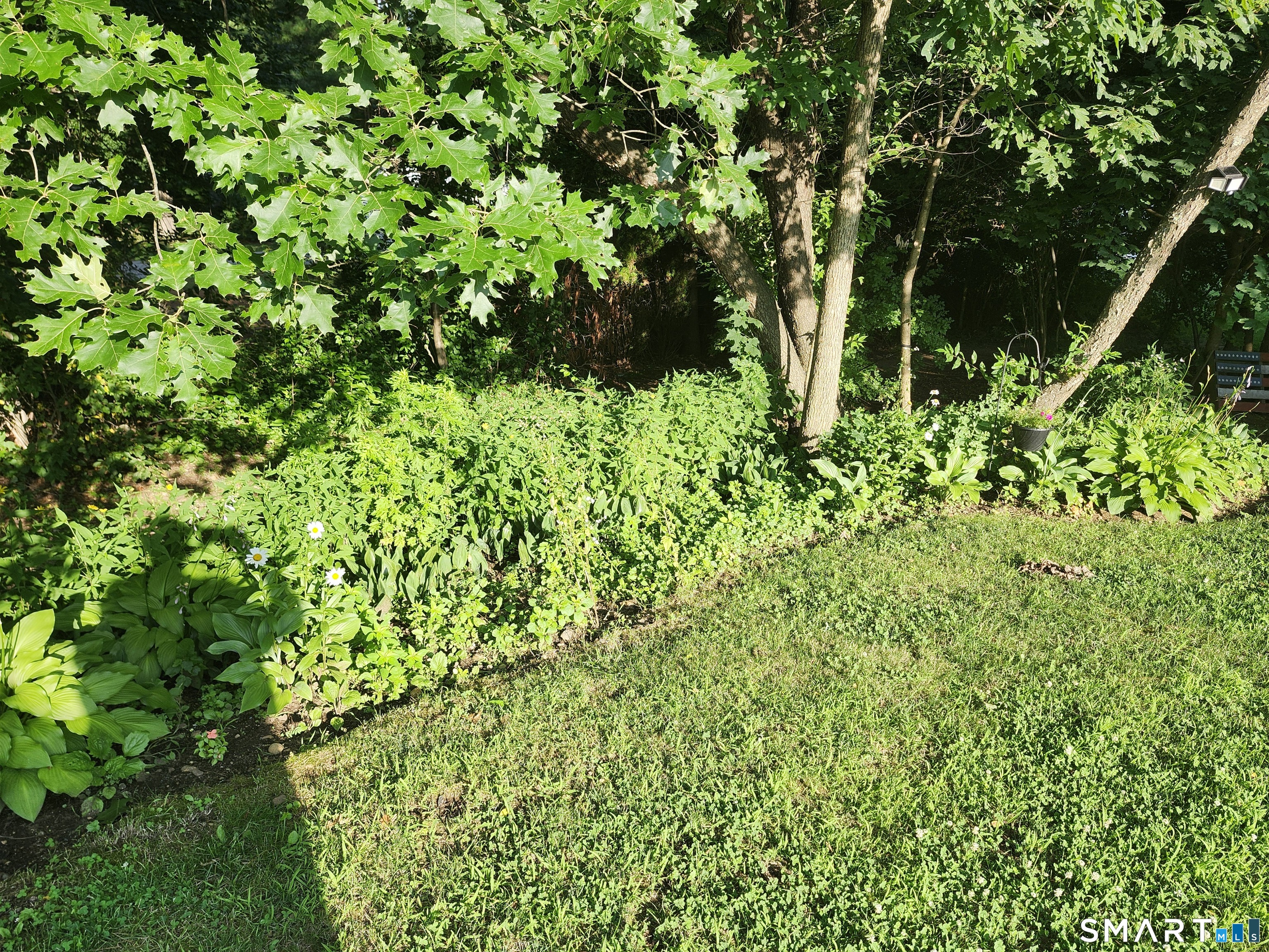 10 Elizabeth Lane Windham, CT 06256 - Photo 19 of 30