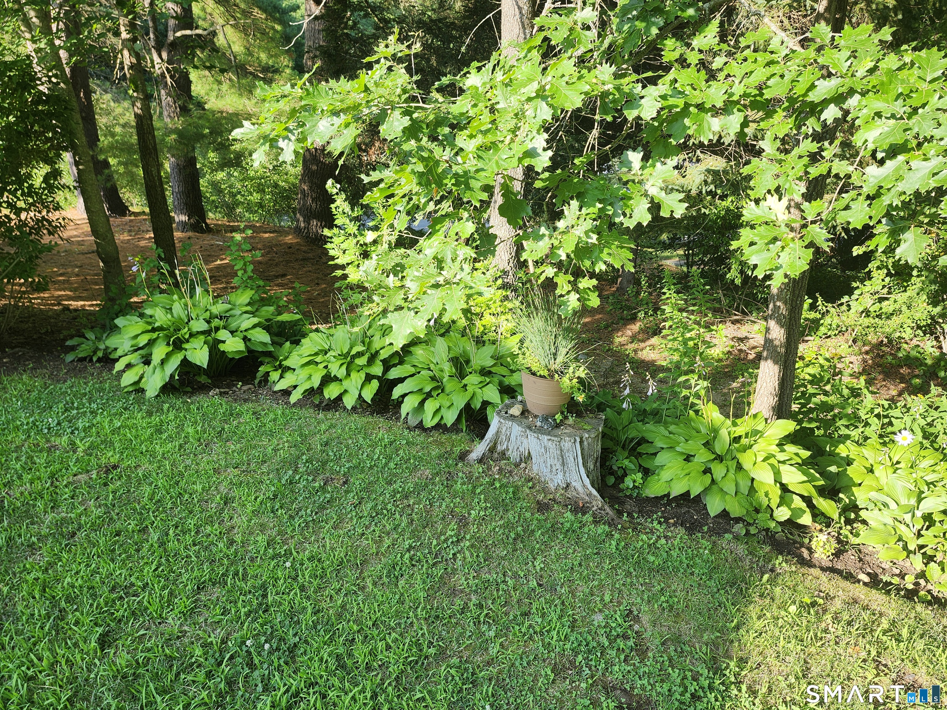 10 Elizabeth Lane Windham, CT 06256 - Photo 20 of 30