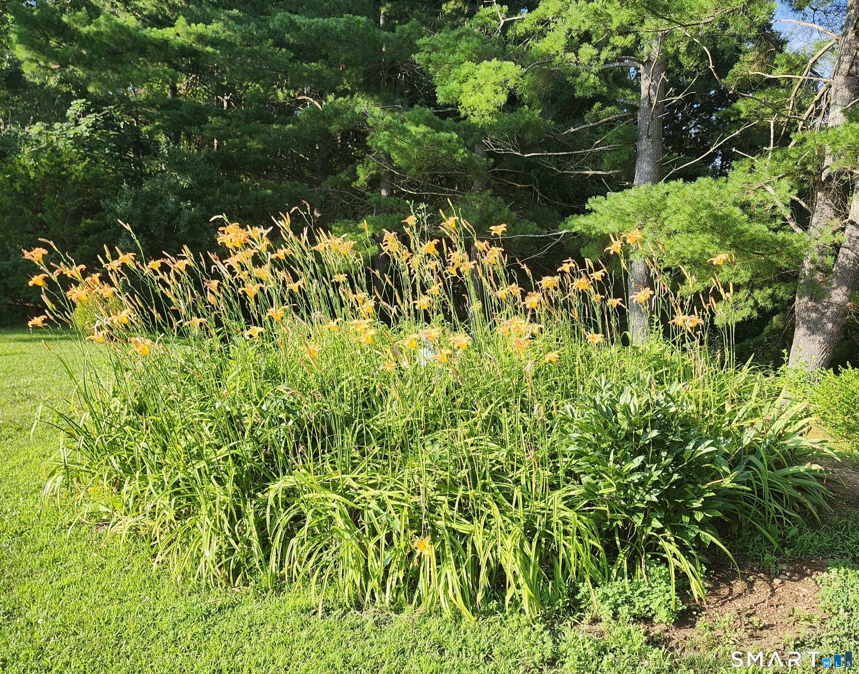 10 Elizabeth Lane Windham, CT 06256 - Photo 24 of 30